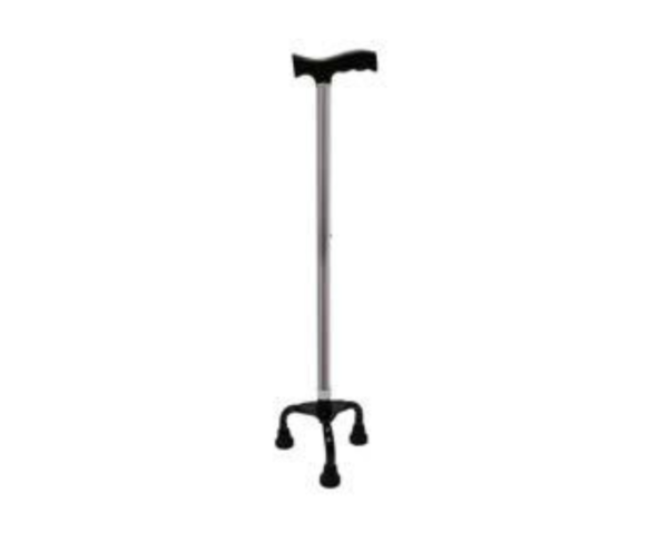 Walking Stick- Tripod